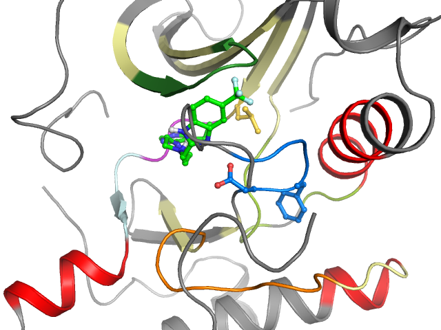 The orthosteric binding pocket