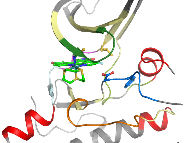 The orthosteric binding pocket