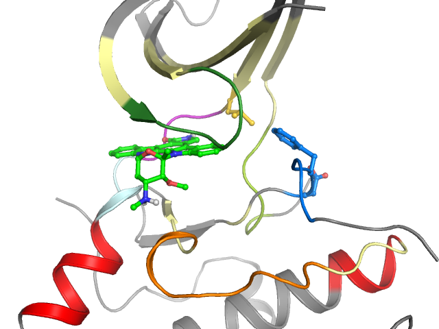 The orthosteric binding pocket