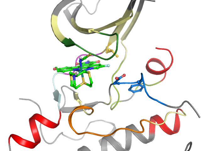 The orthosteric binding pocket