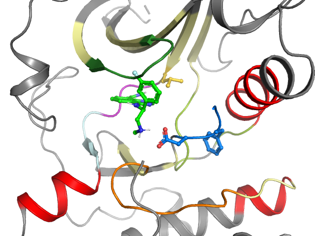 The orthosteric binding pocket