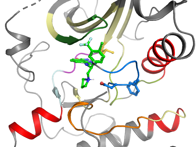 The orthosteric binding pocket