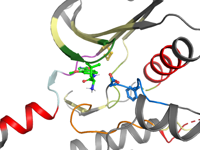 The orthosteric binding pocket