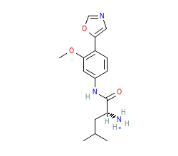 2D structure of the orthosteric ligand