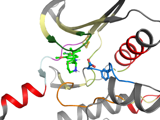 The orthosteric binding pocket