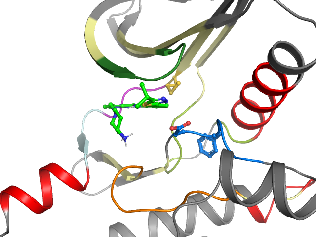 The orthosteric binding pocket