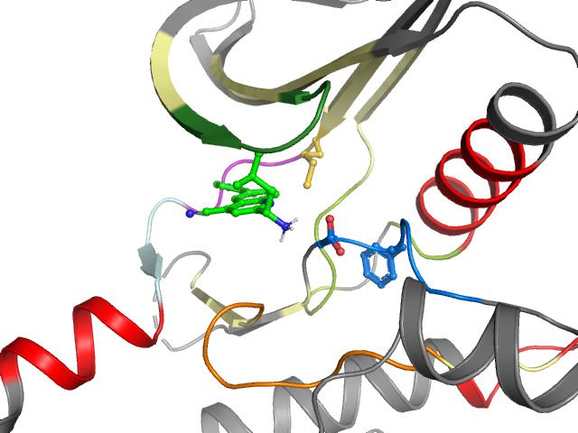 The orthosteric binding pocket