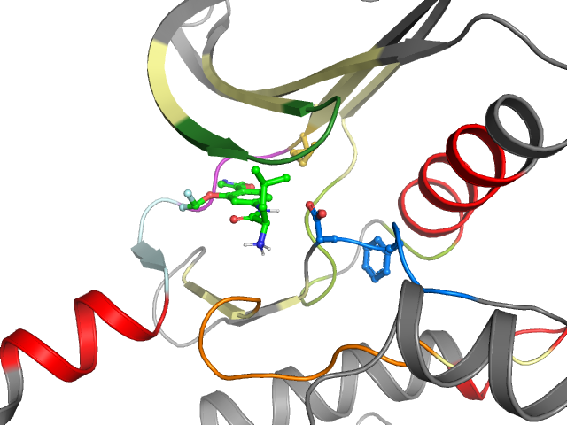 The orthosteric binding pocket