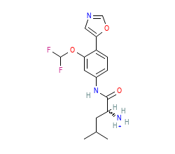 2D structure of the orthosteric ligand