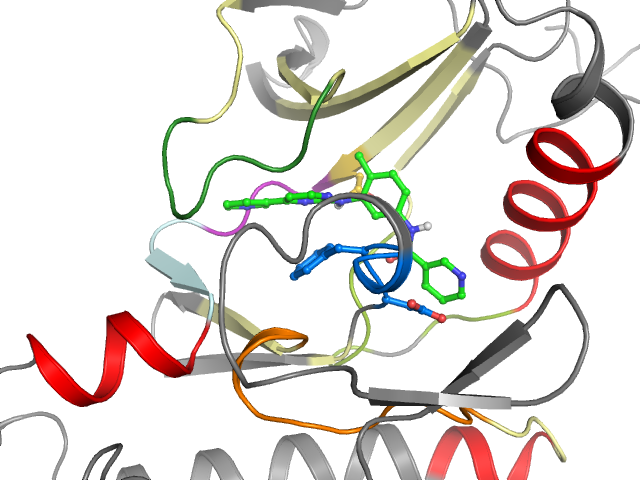 The orthosteric binding pocket
