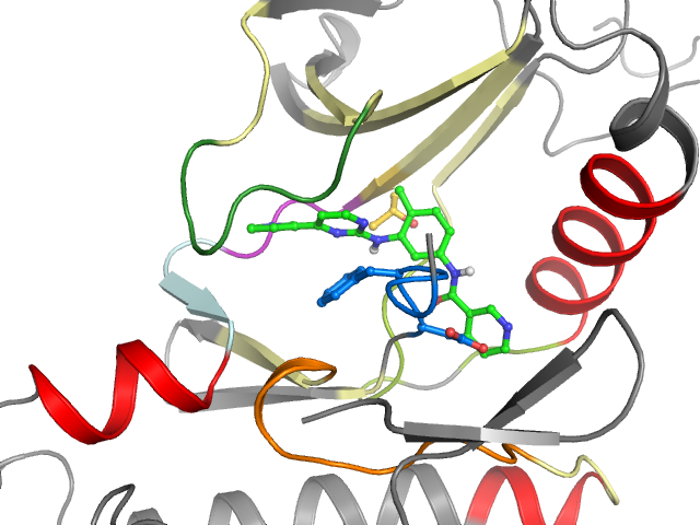 The orthosteric binding pocket