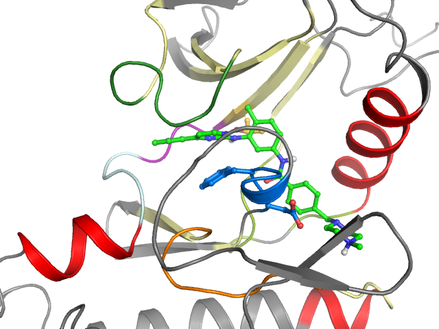 The orthosteric binding pocket