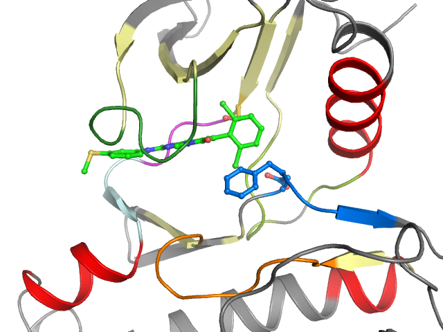 The orthosteric binding pocket
