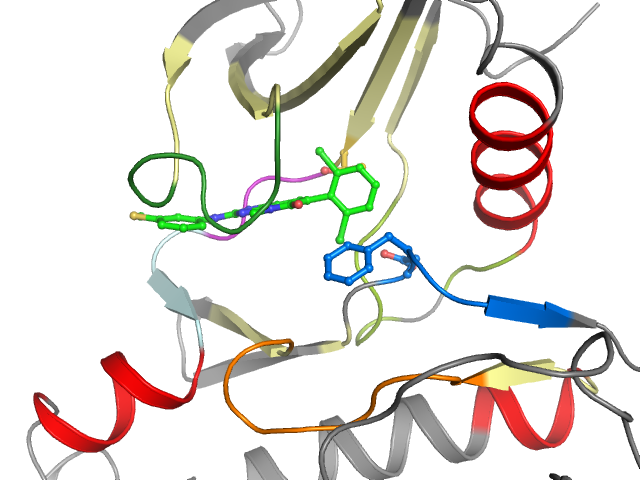 The orthosteric binding pocket