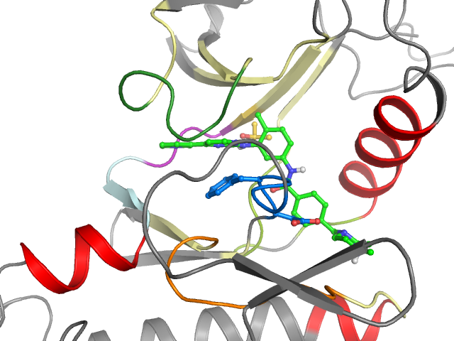 The orthosteric binding pocket