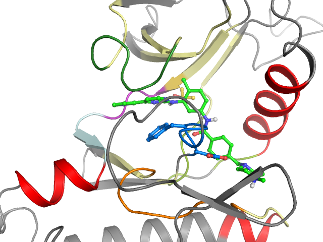 The orthosteric binding pocket