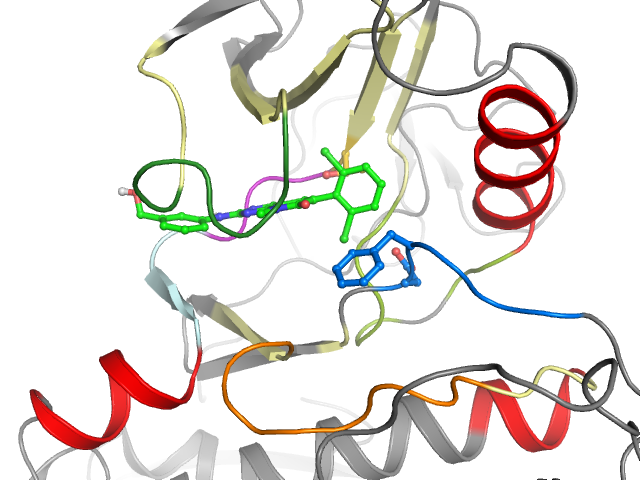 The orthosteric binding pocket