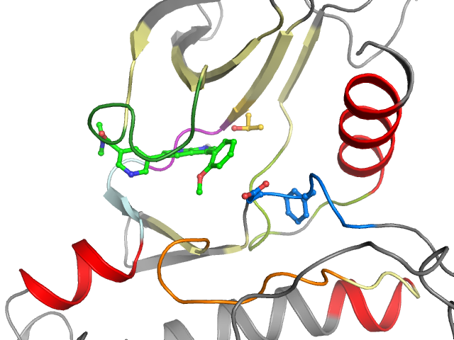 The orthosteric binding pocket