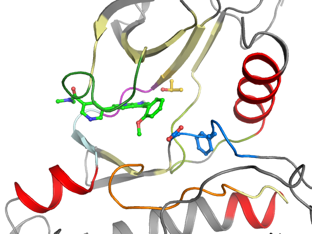 The orthosteric binding pocket