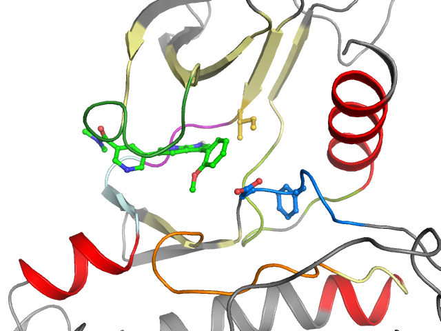 The orthosteric binding pocket