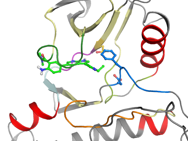 The orthosteric binding pocket