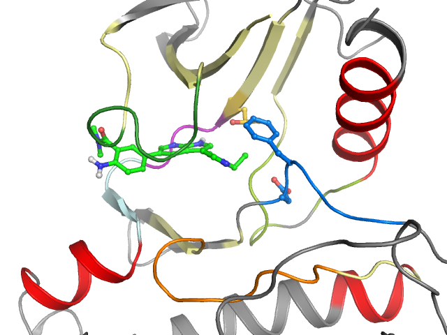 The orthosteric binding pocket