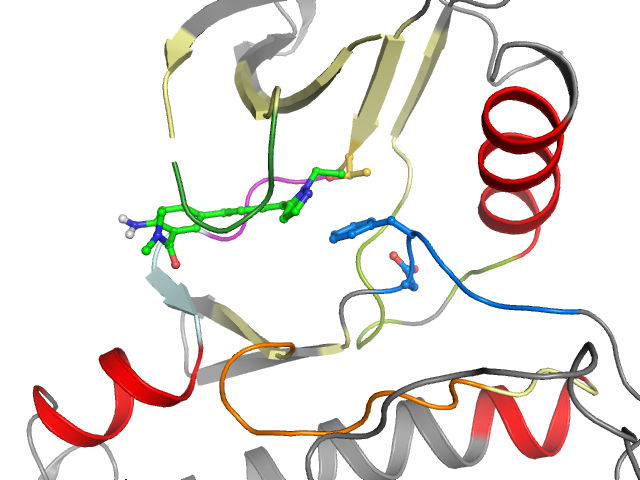 The orthosteric binding pocket