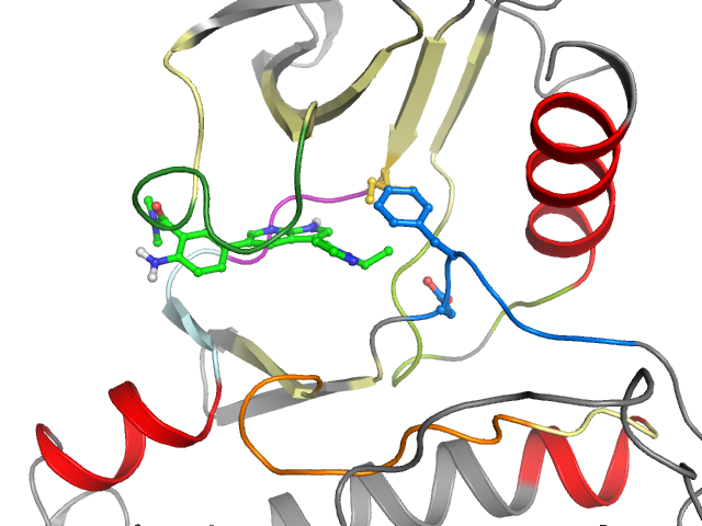 The orthosteric binding pocket