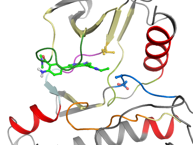 The orthosteric binding pocket