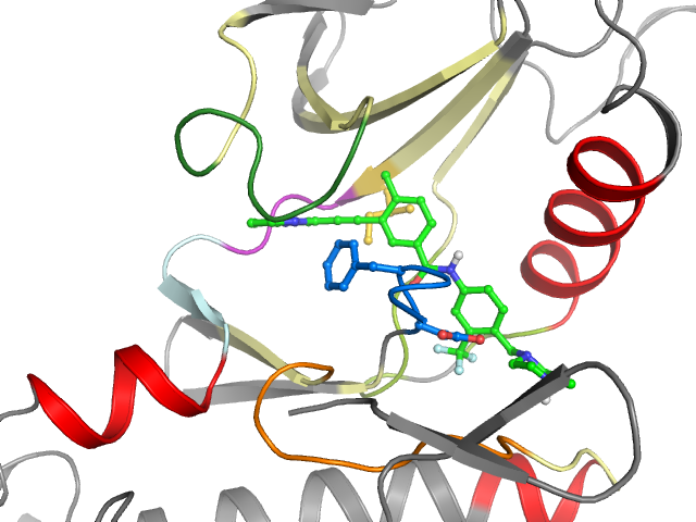 The orthosteric binding pocket