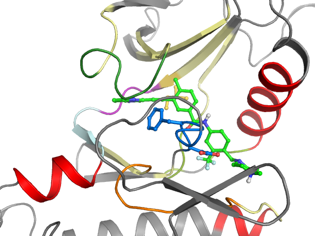 The orthosteric binding pocket