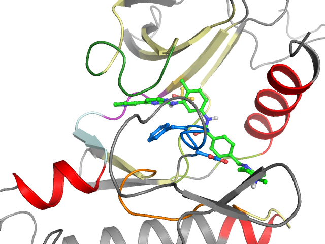 The orthosteric binding pocket