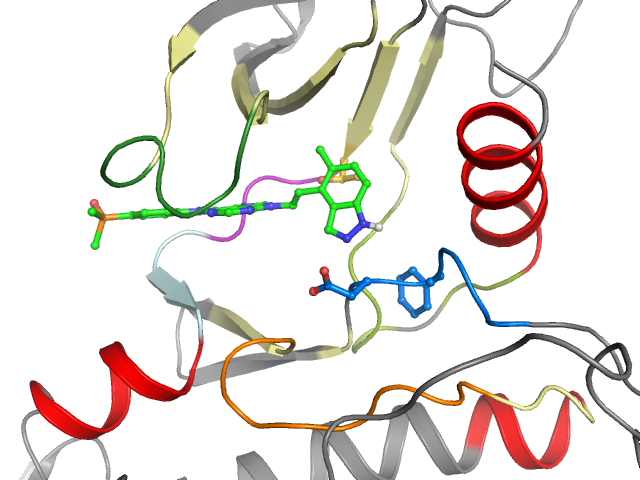 The orthosteric binding pocket