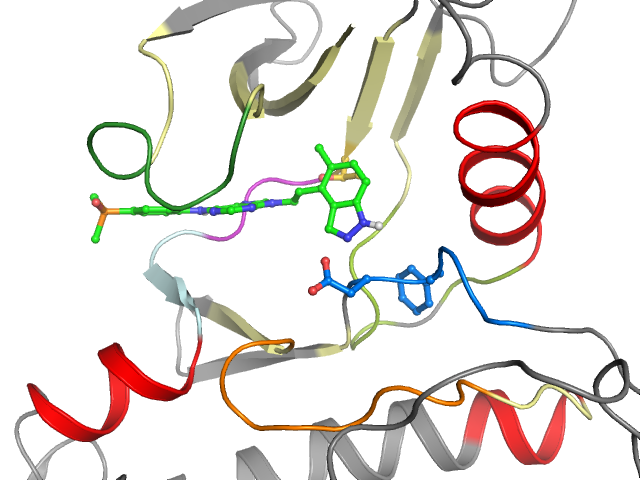 The orthosteric binding pocket