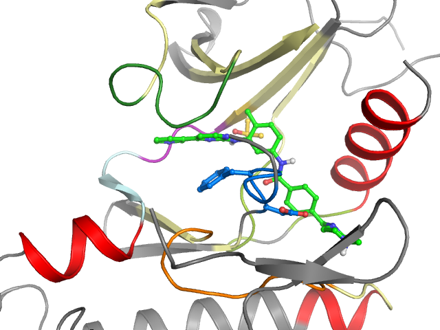 The orthosteric binding pocket