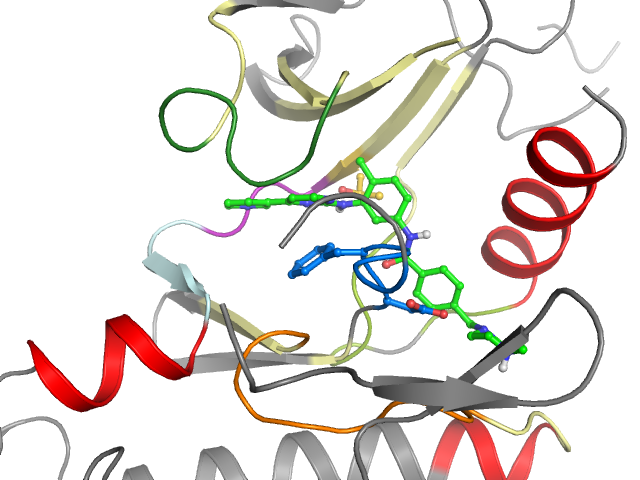 The orthosteric binding pocket