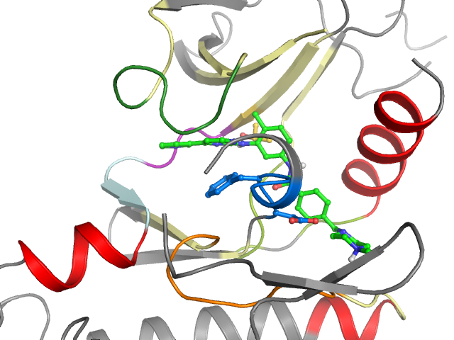 The orthosteric binding pocket