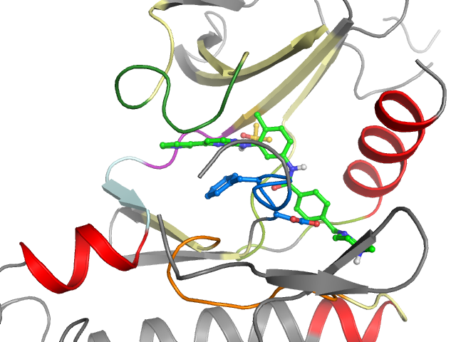 The orthosteric binding pocket