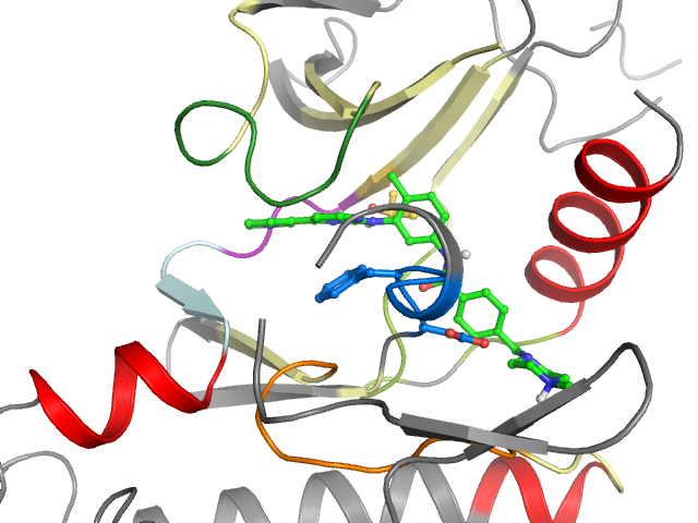 The orthosteric binding pocket
