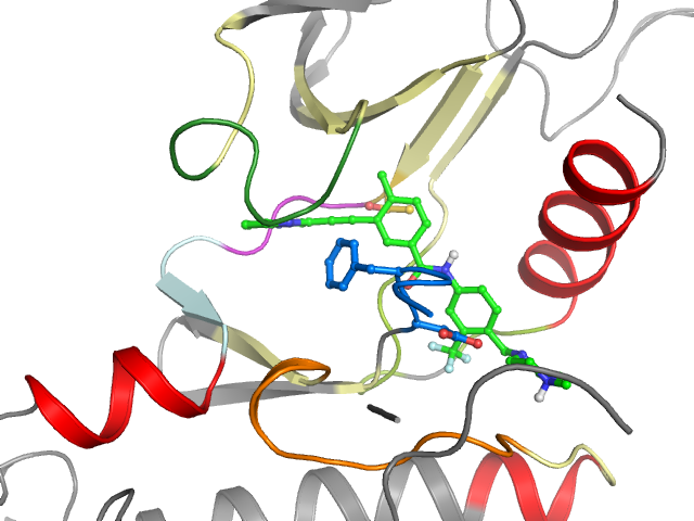 The orthosteric binding pocket