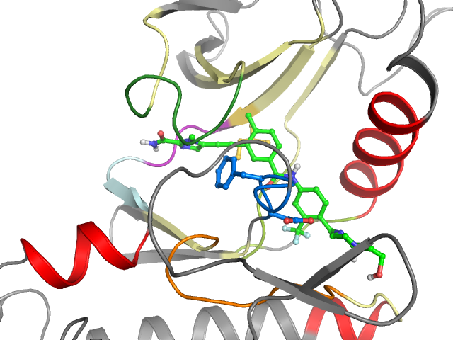 The orthosteric binding pocket