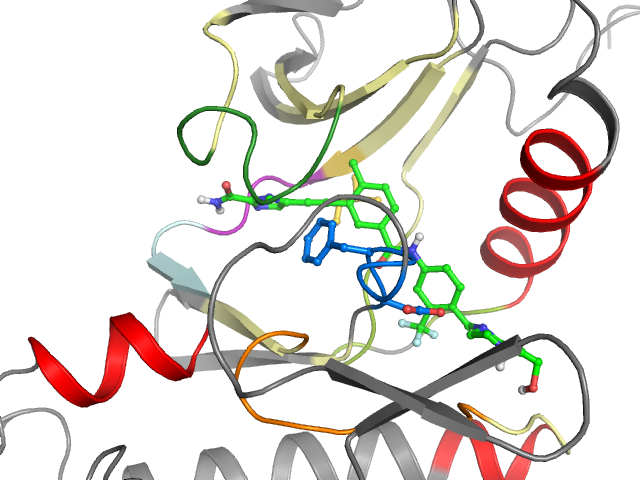 The orthosteric binding pocket