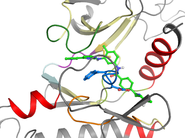 The orthosteric binding pocket