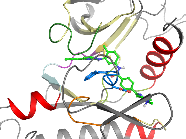 The orthosteric binding pocket