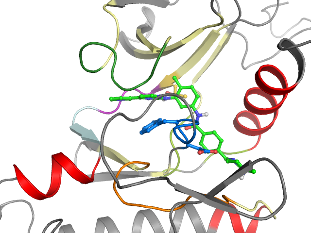 The orthosteric binding pocket