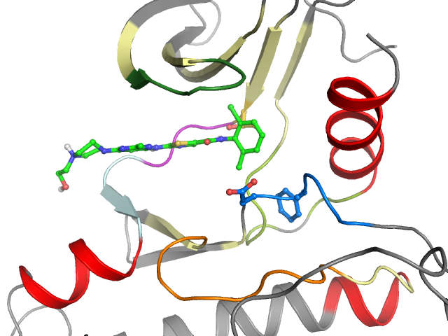 The orthosteric binding pocket