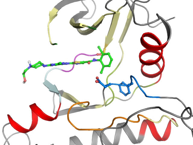 The orthosteric binding pocket