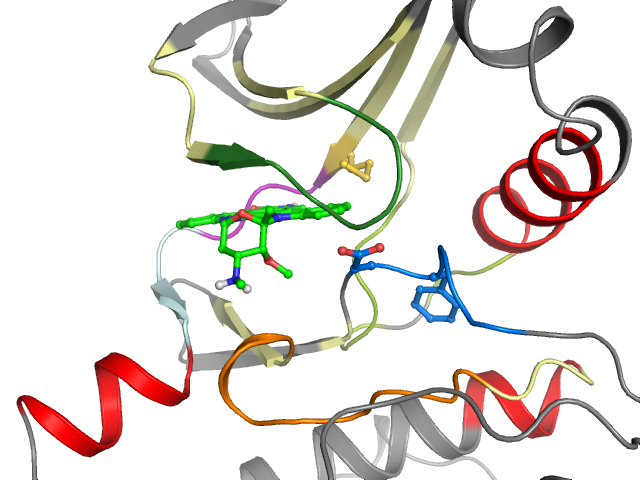 The orthosteric binding pocket