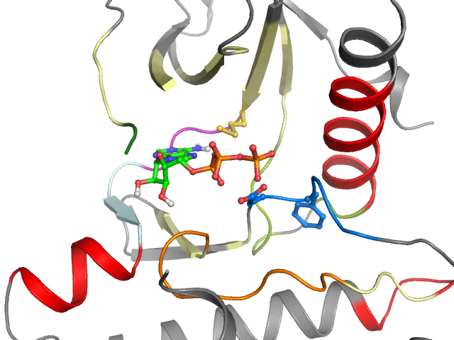 The orthosteric binding pocket