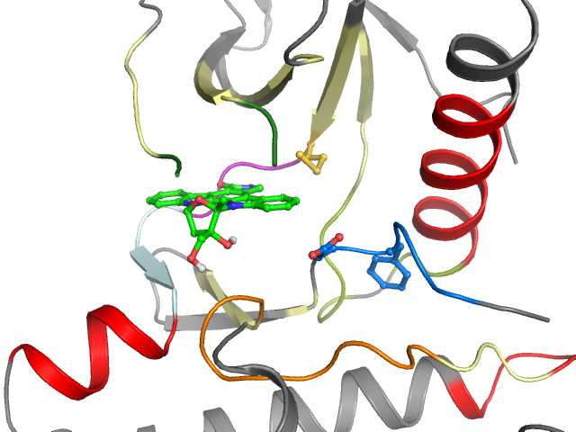 The orthosteric binding pocket